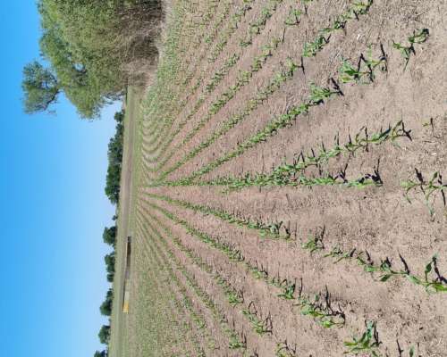 Vhb 710 Neumatica Corte Surco X Surco Variable