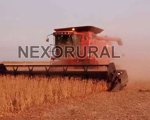 Case 2388 Extreme, 2005. 8000/1500 HS. 4x4. 30 P.