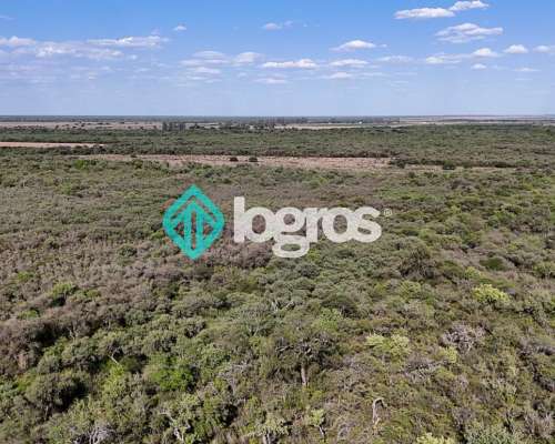 Campo en Venta de 385 Ha en Joaquín V. González, Salta
