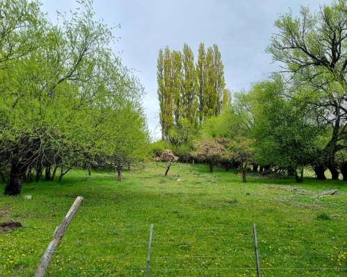 Campo Mixto en Esquel, Precordillera