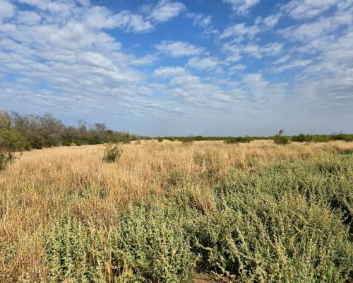 Vendo 5000 Ha Mixtas en las Delicias
