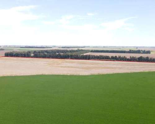 200 Hectáreas Agricolas Zona Núcleo.