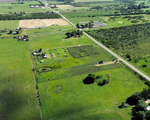 Vendo Campo de 3 Hectáreas en San Justo, Entre Ríos.