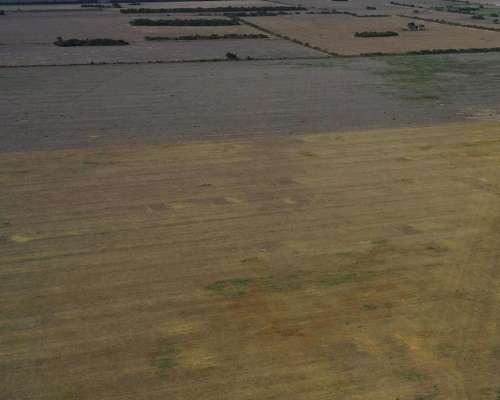 Vendo Campo en Cordoba Maquinista Gallini 160 Has Agricolas