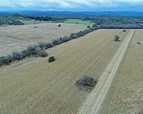 Campo Mixto 492 HA, Colon, Córdoba.