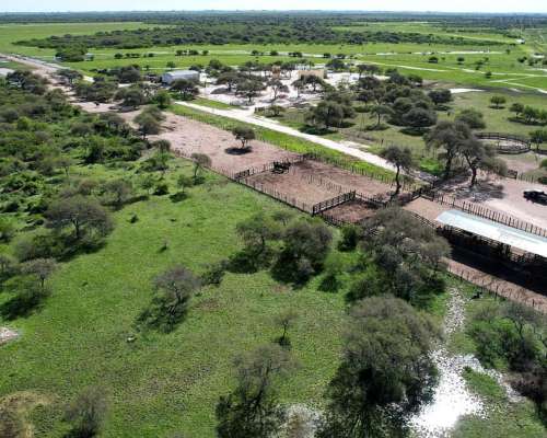 Ceibas, Gualeguaychú, Entre Ríos - 1.000 Ha