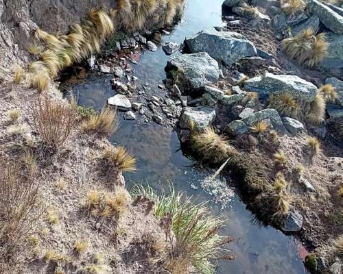Vendo Campo en la Carolina,san Luis