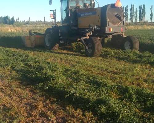 Segadora Autopropulsada New Holland SR 200