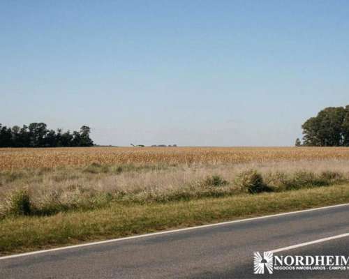 General Belgrano, Buenos Aires - 95 Ha