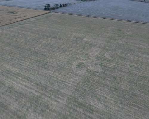 40 HA. Suelo Clase 1 Sobre Ruta. San Genaro (santa FE)