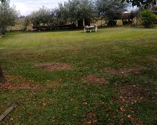 Campo Mixto con Mejoras Sánchez San Nicolás