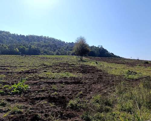 Oferta Chacra con Monte Nativo