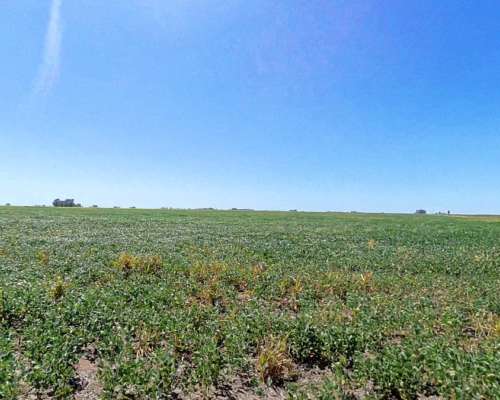 Campo en Venta – 816 Hectáreas