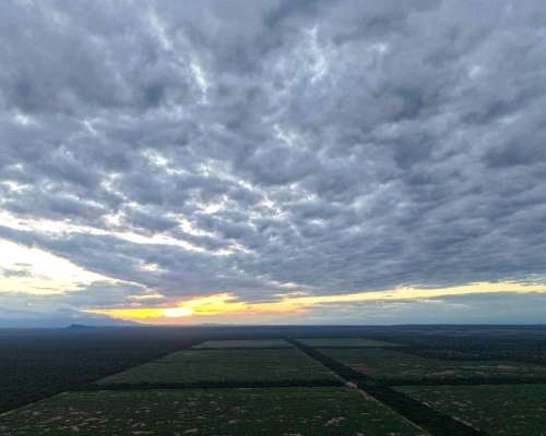 Pcia. de Salta - la Estrella 2125 Ha