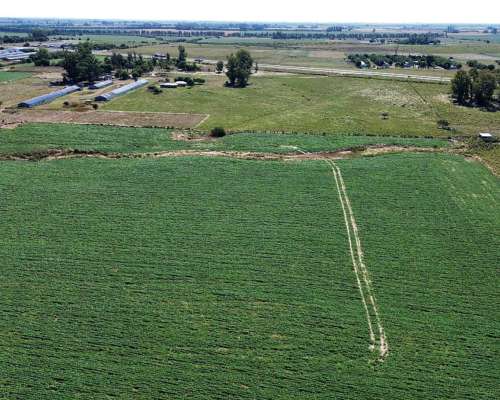 Vendo Campo 24 Has en Ruta 14 Concepción del Uruguay Entre R