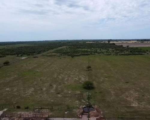 Venta Campo Ganadero Pilar Santa FE