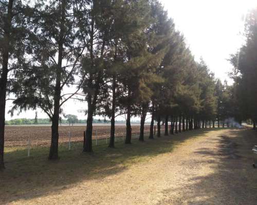 115 Hectareas Agricolas Villaguay