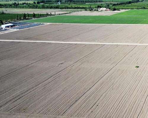 Finca de 49 Ha en Montecaseros