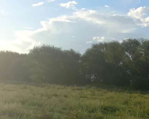 Vendo Fraccion de Campo Cercano a Ruta