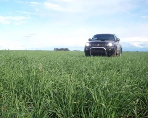 377ha en Teniente Origone Agricolas Financiadas a 4 Años