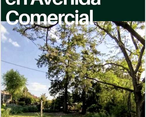 Lote Único Sobre Avenida Comercial con Salida a Dos Calles.