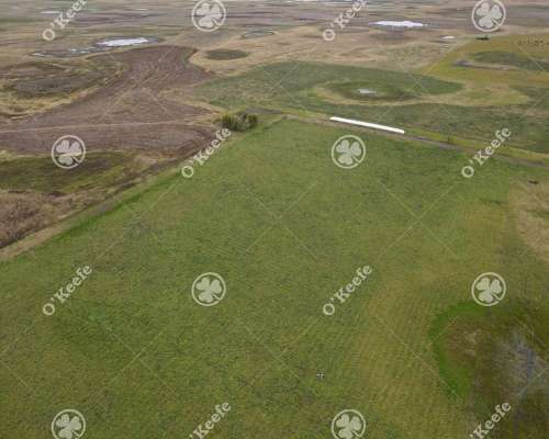 Campo en Venta de 324 Has en General Alvear. Mixto