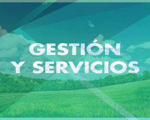 Campo en Venta 500 Ha Zona Fraga