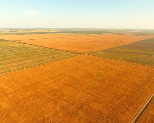 Campo en Venta en Colonia Castelar, Santa FE
