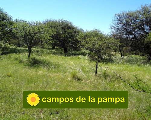 La Pampa - Venta Campo 600 Ha Caldenal y Cultivo