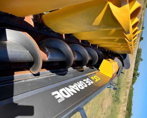 De Grande ED -1410 12 a 70 año 2021