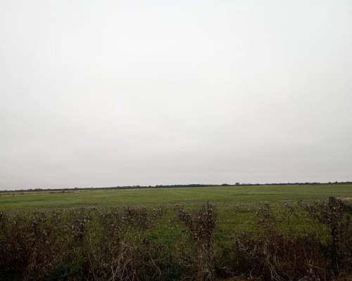Campo 54ha - Providencia
