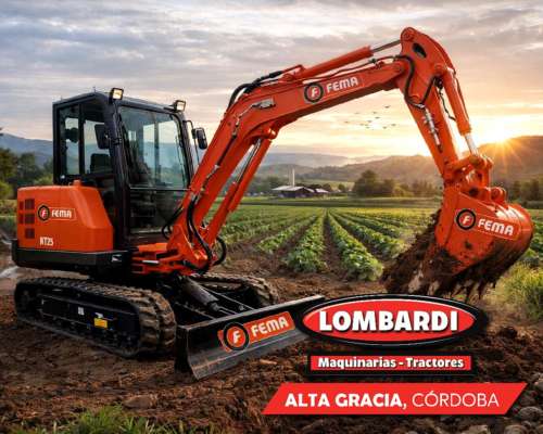 Excavadora Hidráulica Fema NT 25