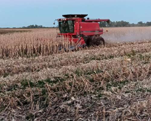 Cosechadora Case 2388 2009 muy Buen Estado