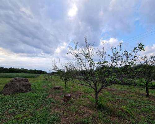 La Viña , Salta, Argentina