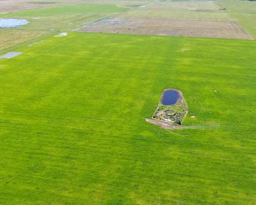 163 Has en Chascomús, Buenos Aires - Mixto - Venta