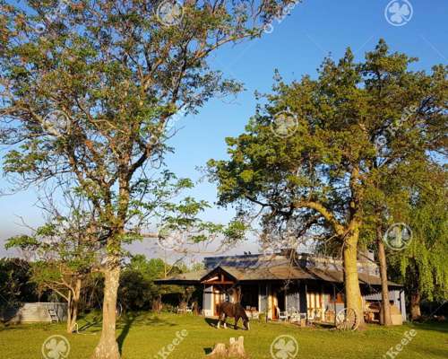 Chacra en Venta de 32 Has en San Pedro. Producción de Kiwi.