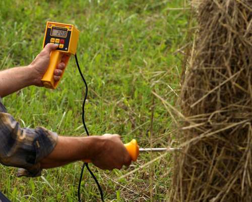 Humedímetro para Alfalfa, Heno (fardos Silos) Draminski HMM
