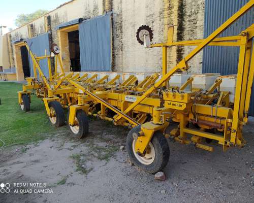 Ascanelli RS 2000. de 13 a 52 CM. sin Fertilización .