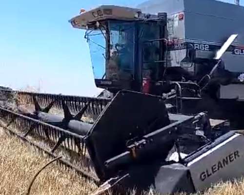 Gleaner R62 Excelente Oportunidad - u$s 55.000 - Agroads