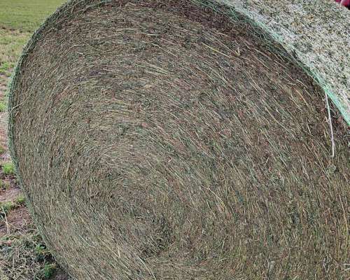 Rollos de Alfalfa y de Pasturas