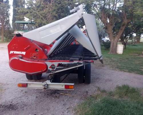 Maicero Maizco de 13 a 52