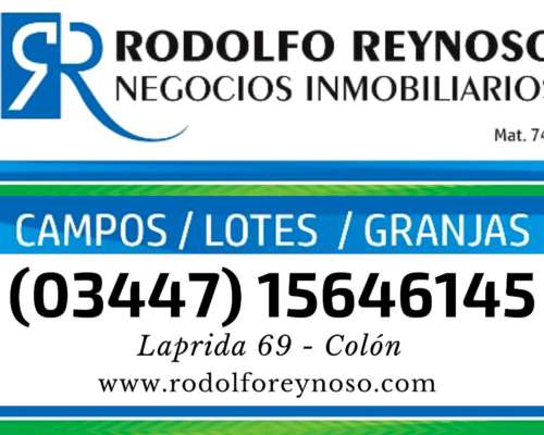 22 Hectáreas en Dto. Colón, Entre Ríos