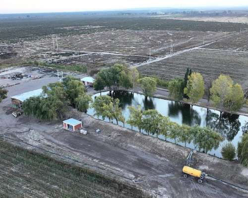 El Carrizal, Lujan de Cuyo, Mendoza - 359 Ha