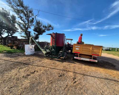 Modelodara Richiger Modelo CH73