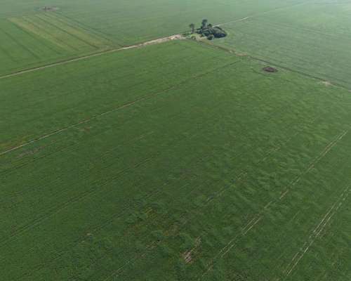 65 HA. Agrícola Optimo. Chovet (santa FE)