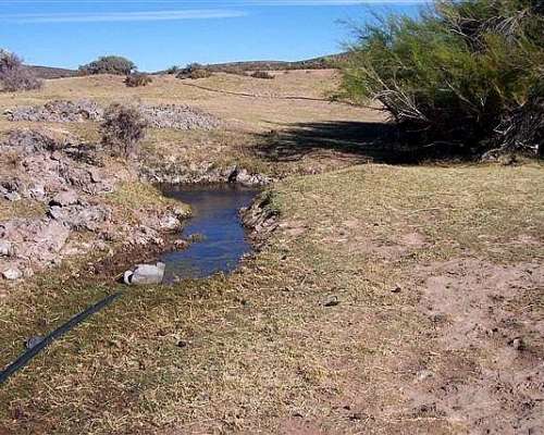 Se Buscan Granjas en la Patagonia