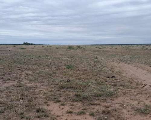 Vende Excelente Campo Ganadero