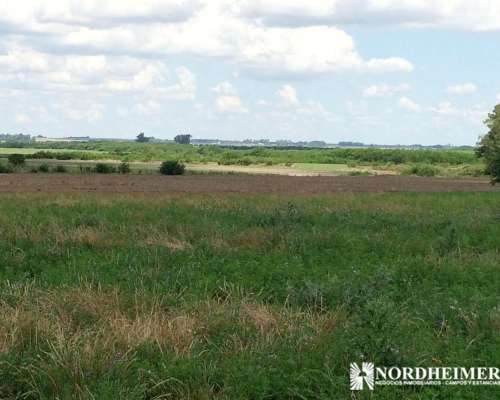 Gobernador Mansilla, Entre Ríos - 400ha