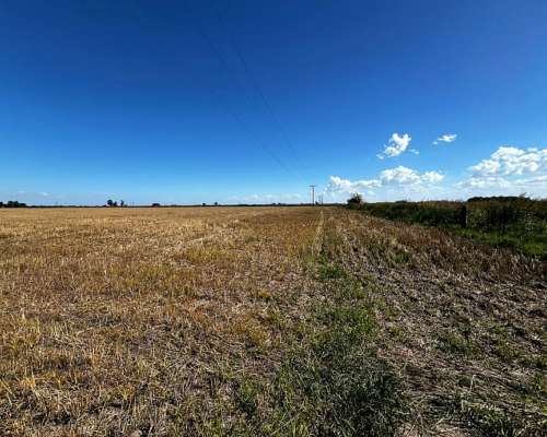 San Agustin, Santa FE Campo Mixto