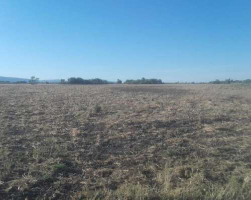 Papagayos - 1034 Ha - San Luis